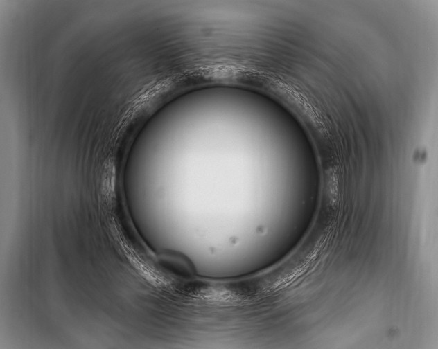 X0000101230589200806271513