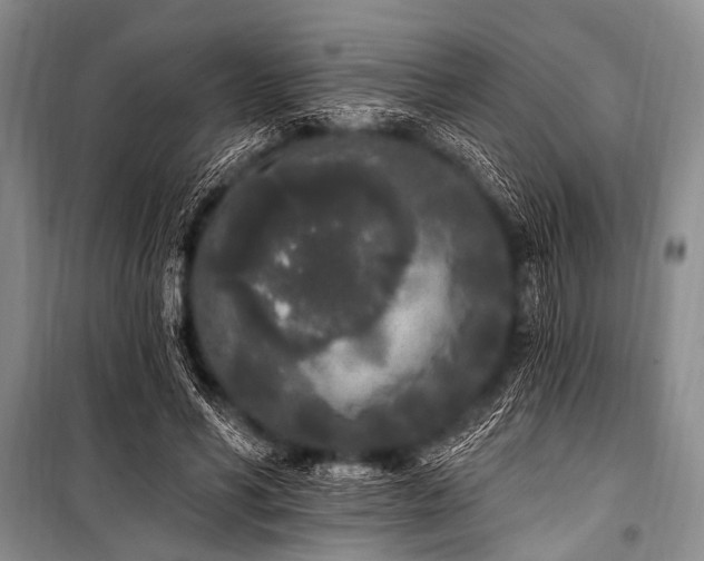 X0000101230590200806271513