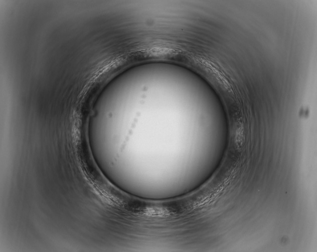 X0000101230591200806271513