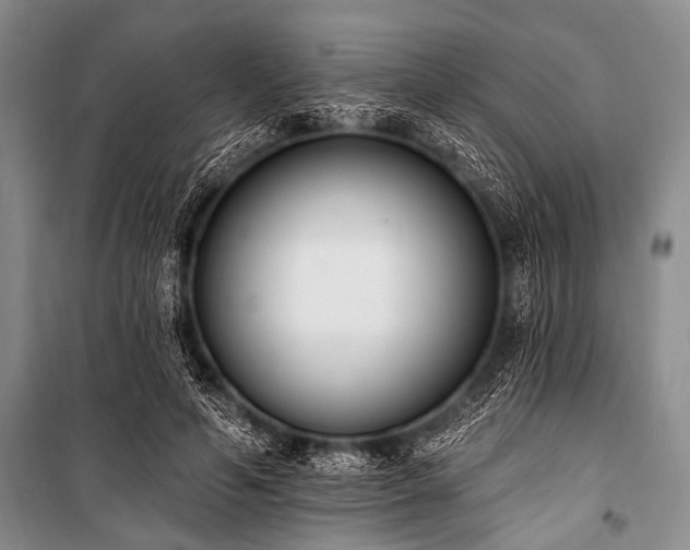 X0000101230594200806271513