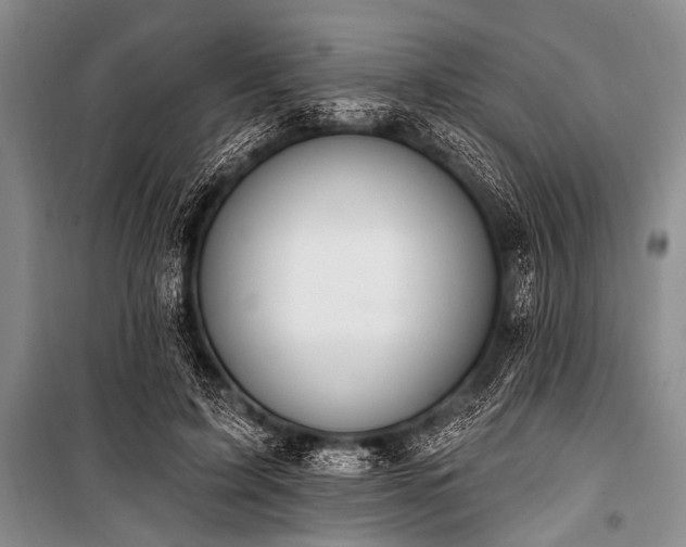 X0000101230595200806271513