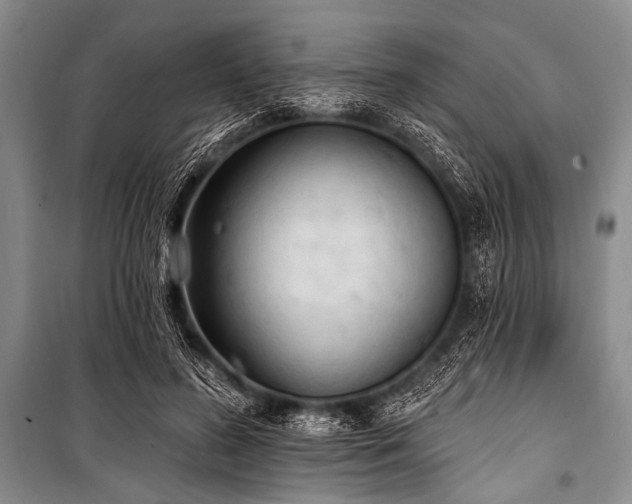 X0000101230596200806271513