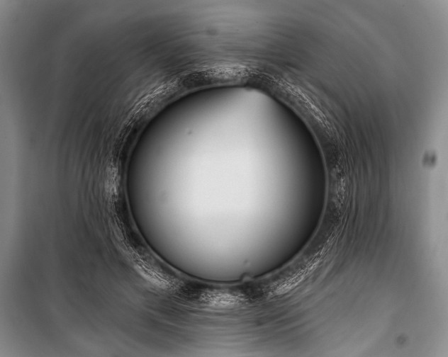 X0000101230597200806271513