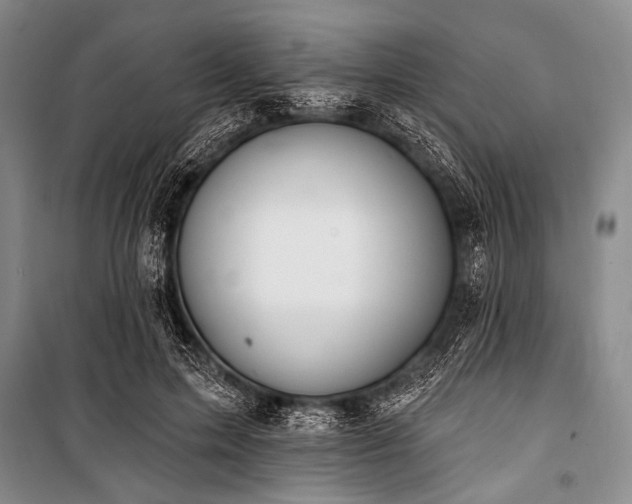 X0000101230599200806271513