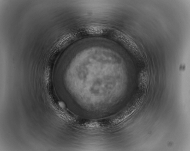 X0000101230600200806271513