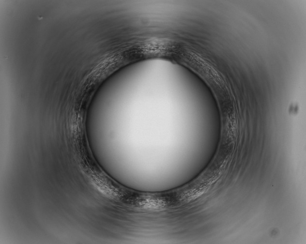 X0000101230601200806271513