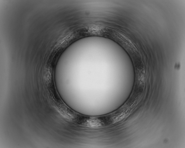 X0000101230603200806271513