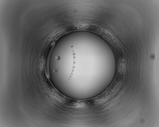 X0000101230604200806271513