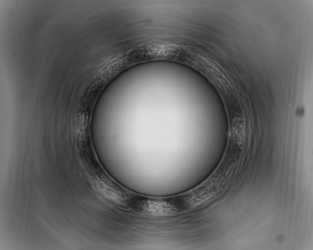 X0000101230605200806271513