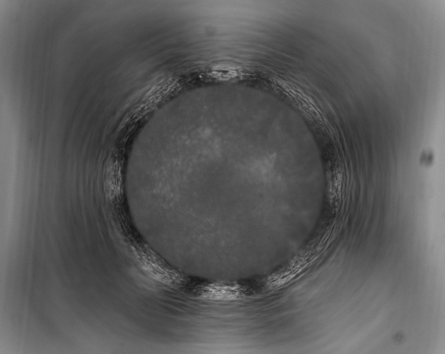 X0000101230606200806271513