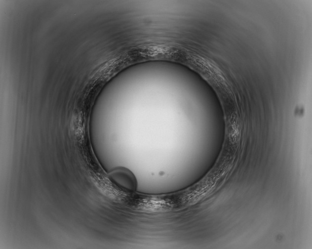 X0000101230607200806271513
