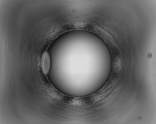 X0000101230608200806271513