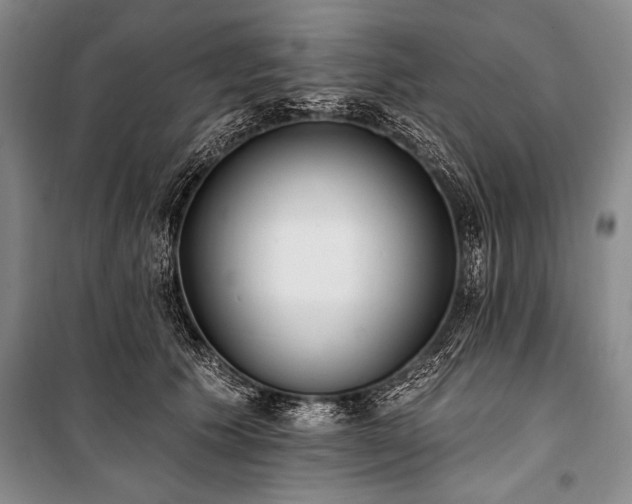 X0000101230609200806271513