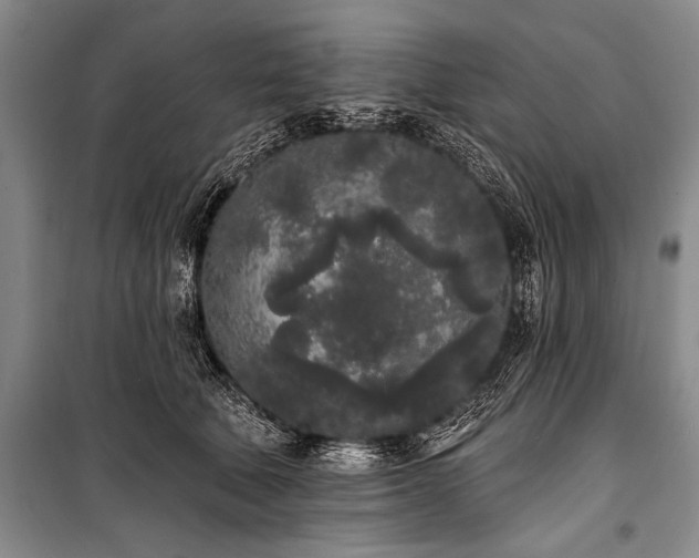 X0000101230610200806271513