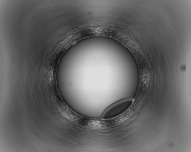 X0000101230611200806271513