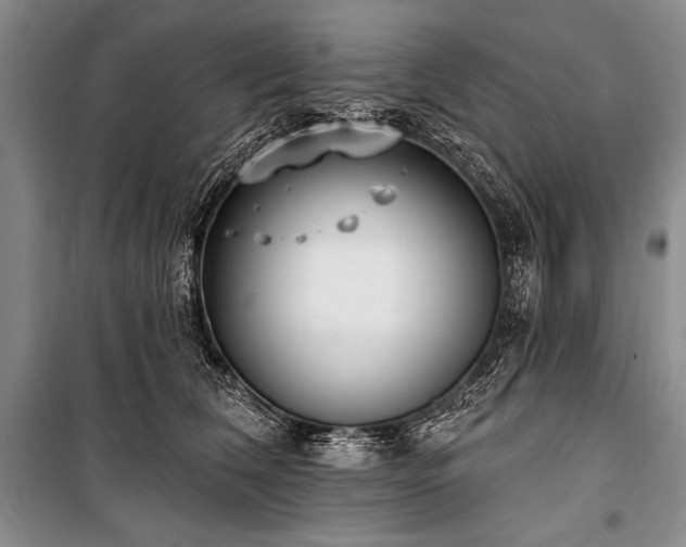 X0000101230612200806271512
