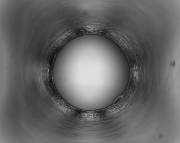 X0000101230615200806271512