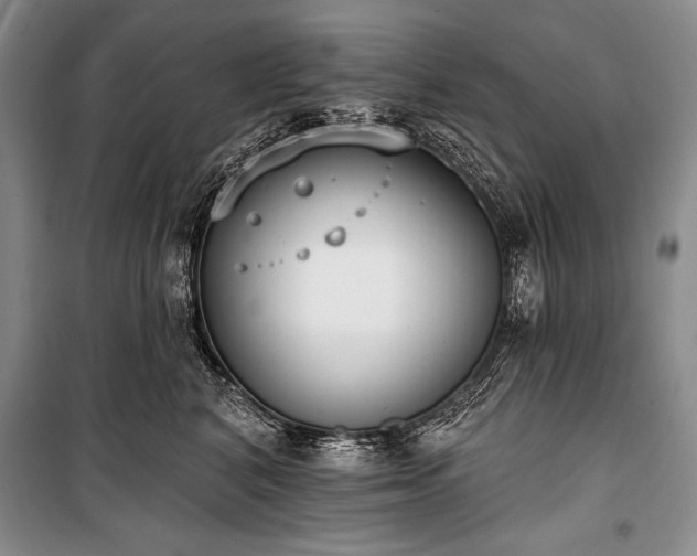 X0000101230616200806271512