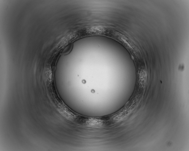 X0000101230617200806271512
