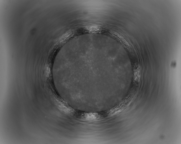 X0000101230618200806271512