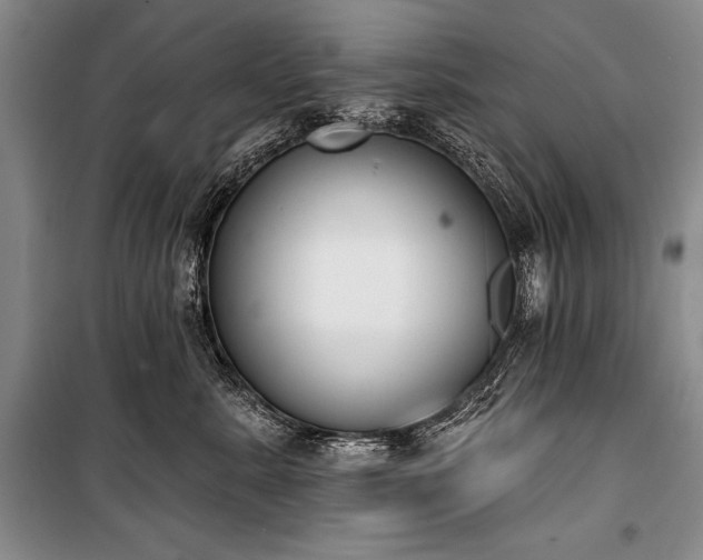 X0000101230619200806271512