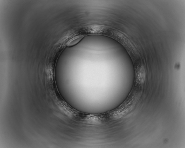X0000101230620200806271512