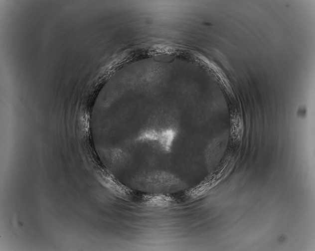 X0000101230621200806271512