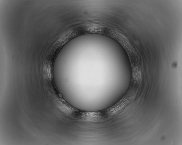 X0000101230622200806271512
