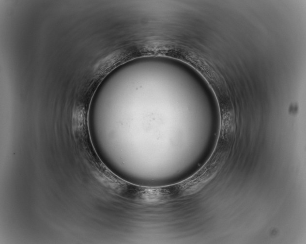 X0000101230623200806271512