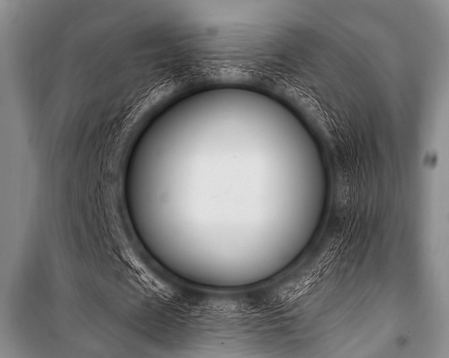 X0000101230625200806271512