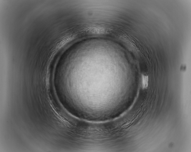 X0000101230627200806271512