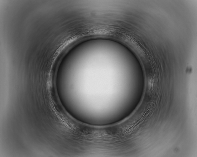 X0000101230628200806271512