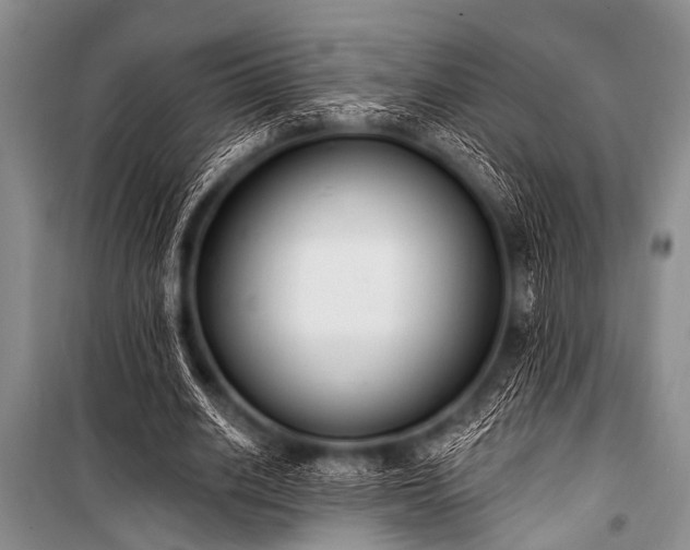 X0000101230630200806271512