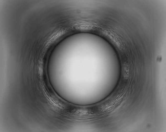 X0000101230631200806271512