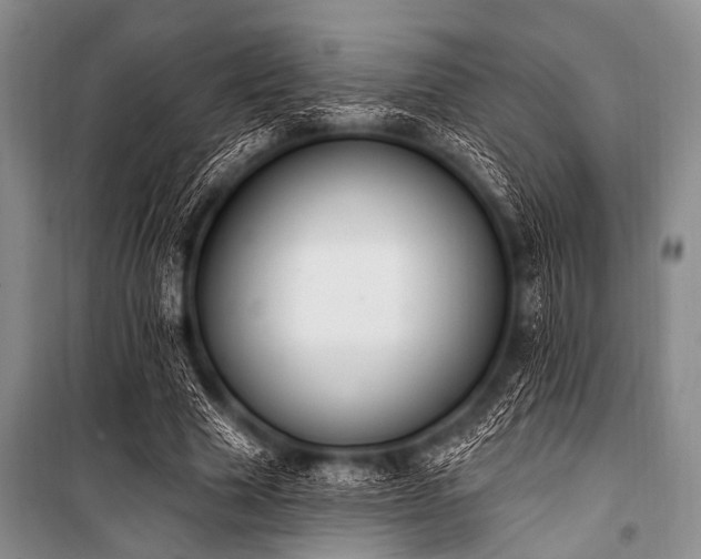 X0000101230633200806271512