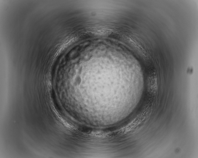 X0000101230634200806271512