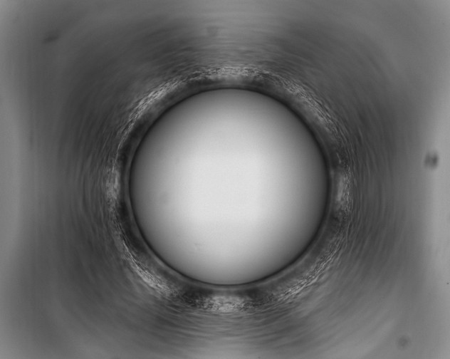 X0000101230636200806271512