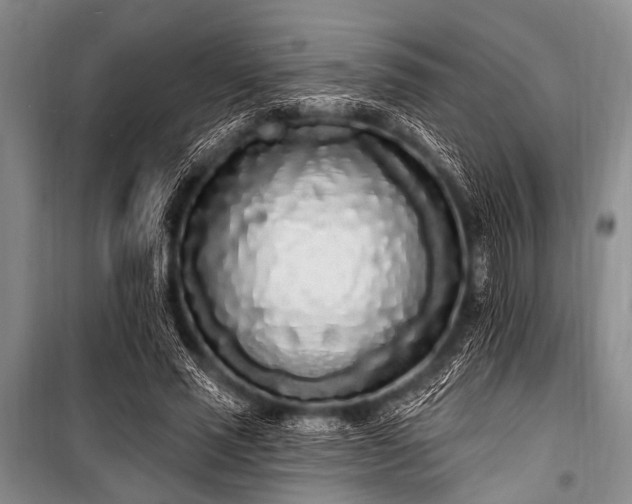 X0000101230637200806271512