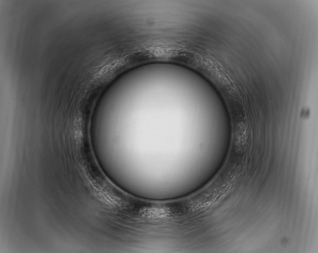 X0000101230639200806271512