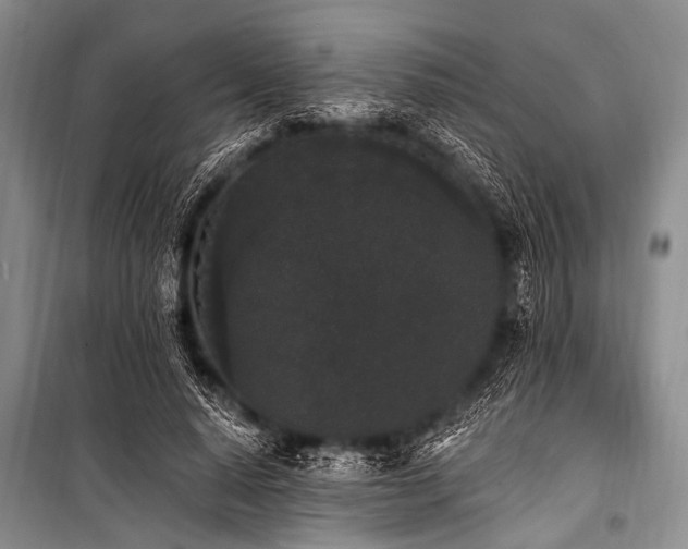 X0000101230640200806271512