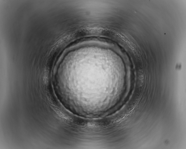 X0000101230641200806271512