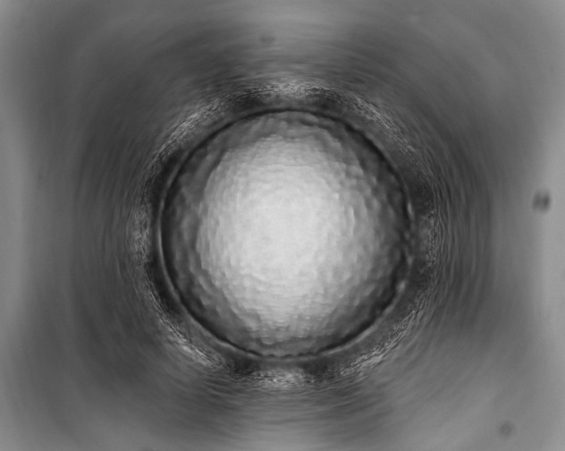 X0000101230642200806271512