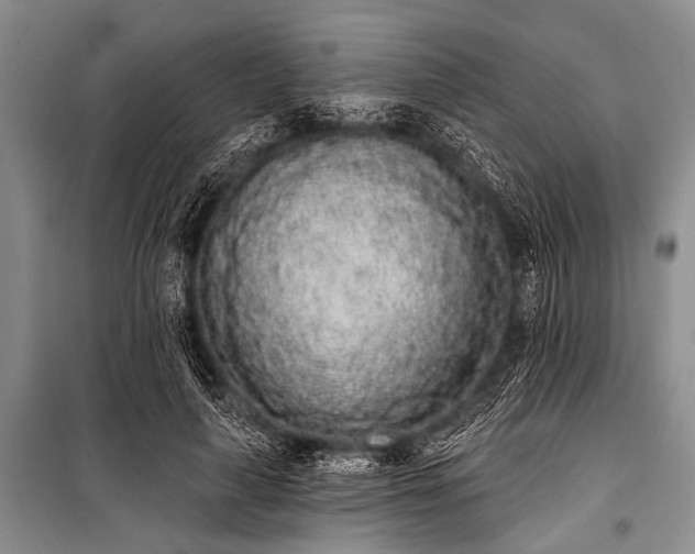 X0000101230643200806271512