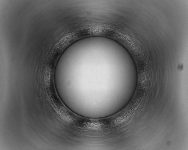 X0000101230645200806271512