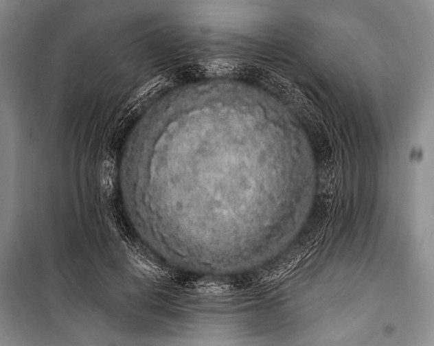 X0000101230648200806271512