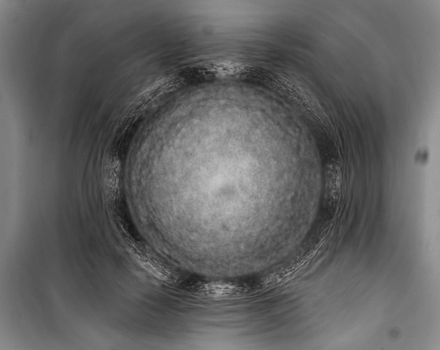 X0000101230650200806271512