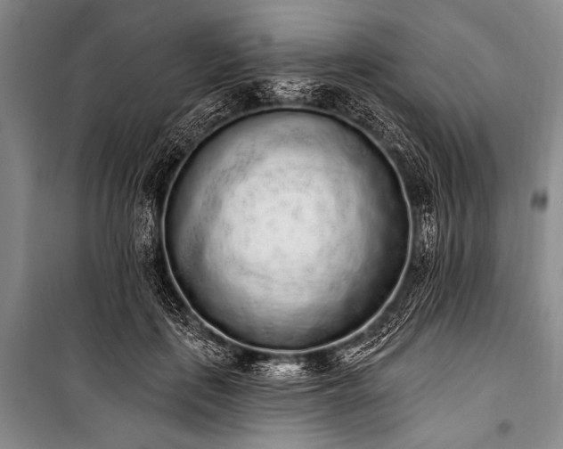 X0000101230651200806271512