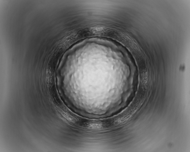 X0000101230653200806271512