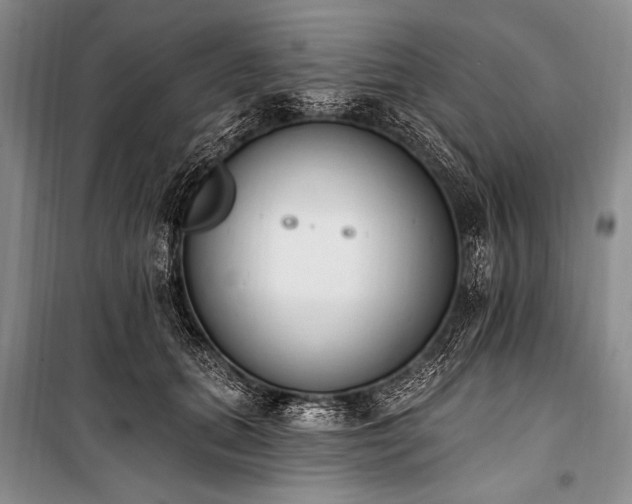 X0000101230655200806271512