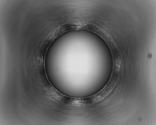 X0000101230657200806271512